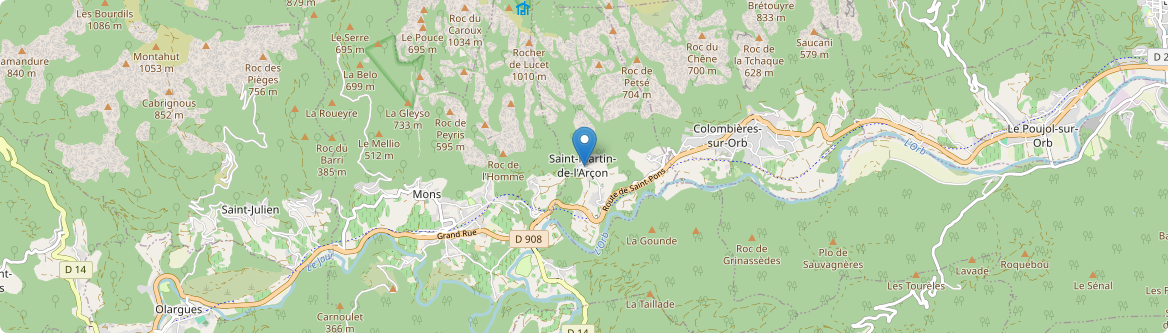 Saint-Martin-de-l'Arçon - Carte