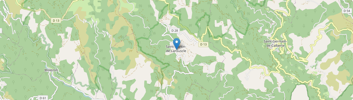 Saint-Martin-de-Lansuscle - Carte