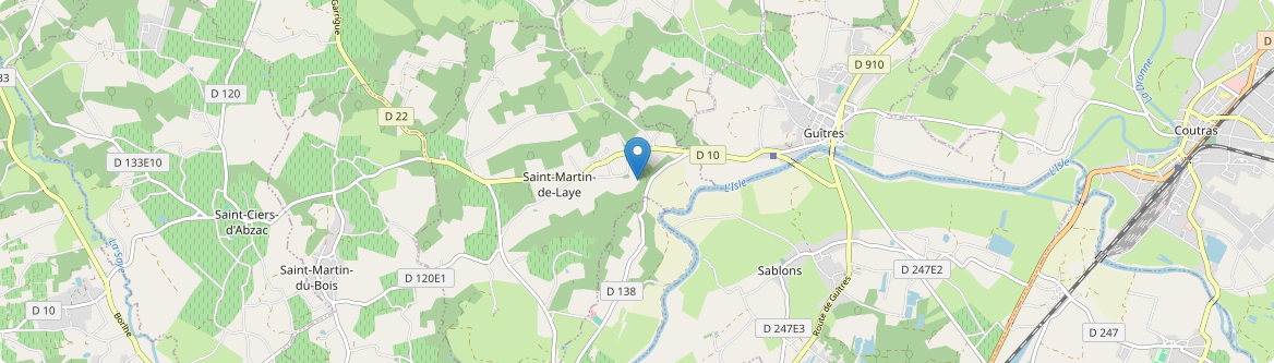 Saint-Martin-de-Laye - Carte