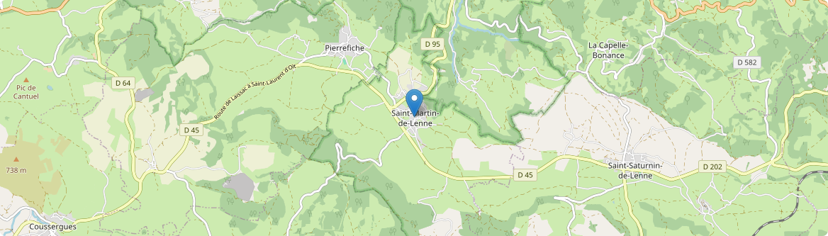 Saint-Martin-de-Lenne - Carte