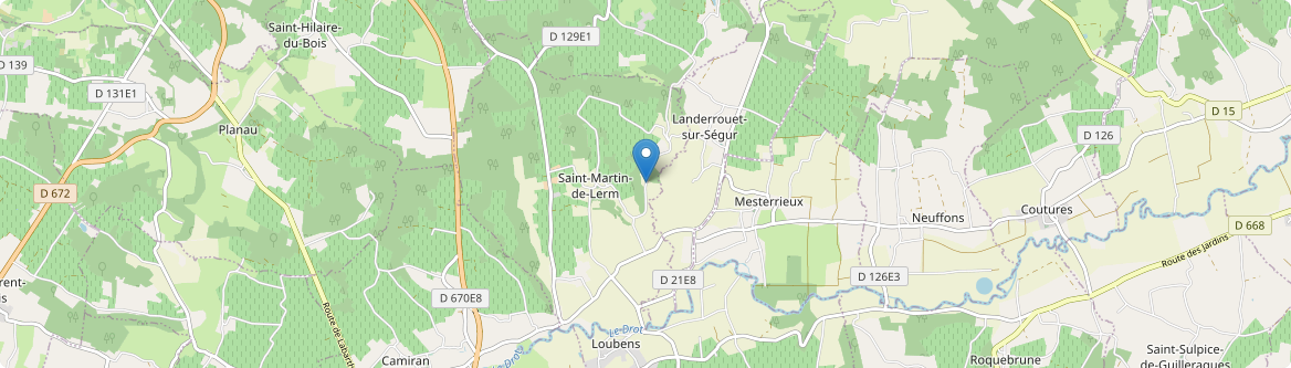 Saint-Martin-de-Lerm - Carte