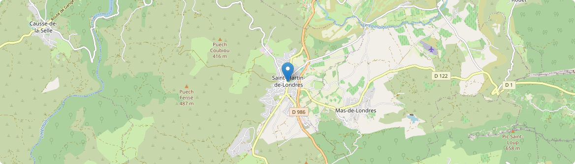 Saint-Martin-de-Londres - Carte