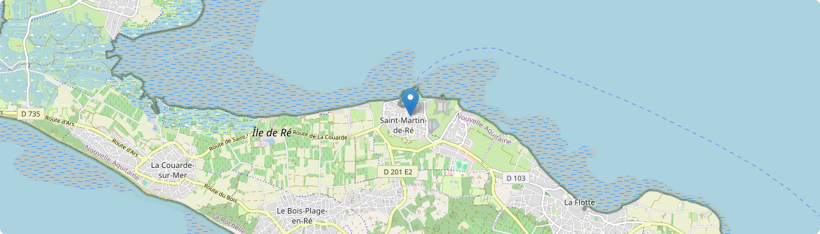 Saint-Martin-de-Ré - Carte