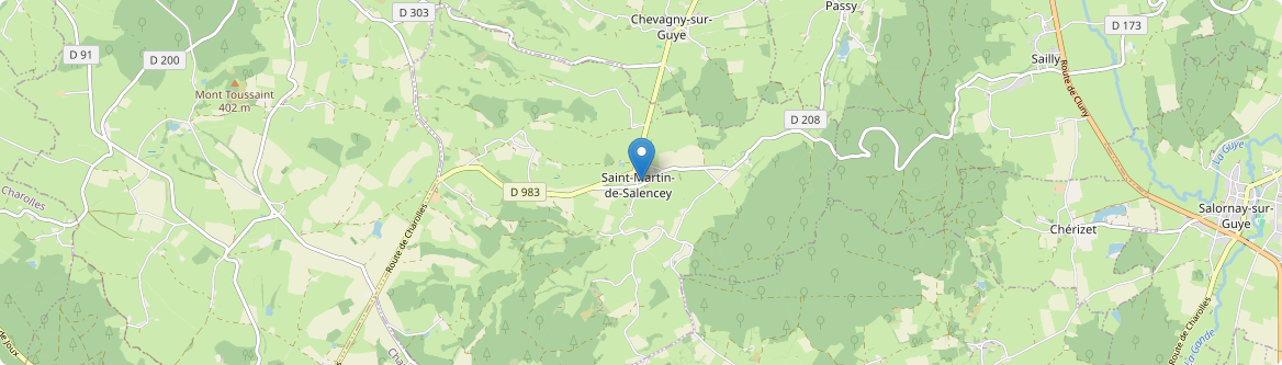 Saint-Martin-de-Salencey - Carte