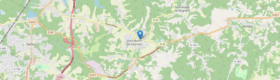 Saint-Martin-de-Seignanx - Carte