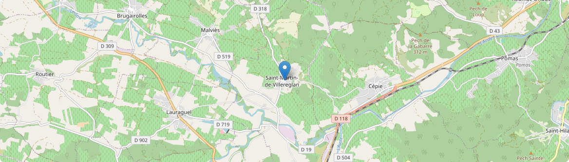 Saint-Martin-de-Villereglan - Carte