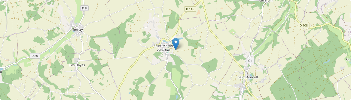 Saint-Martin-des-Bois - Carte