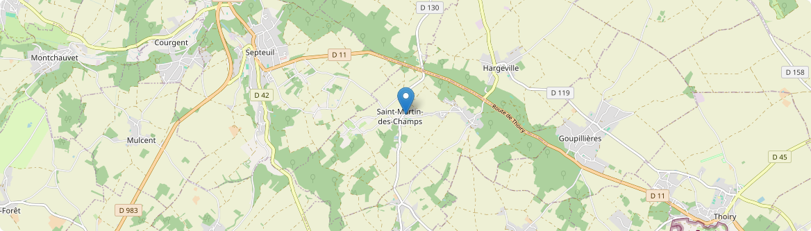 Saint-Martin-des-Champs - Carte
