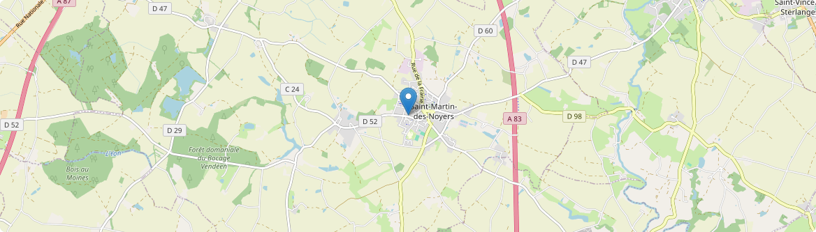 Saint-Martin-des-Noyers - Carte