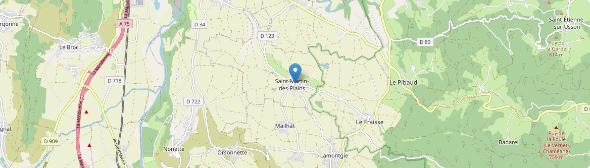 Saint-Martin-des-Plains - Carte
