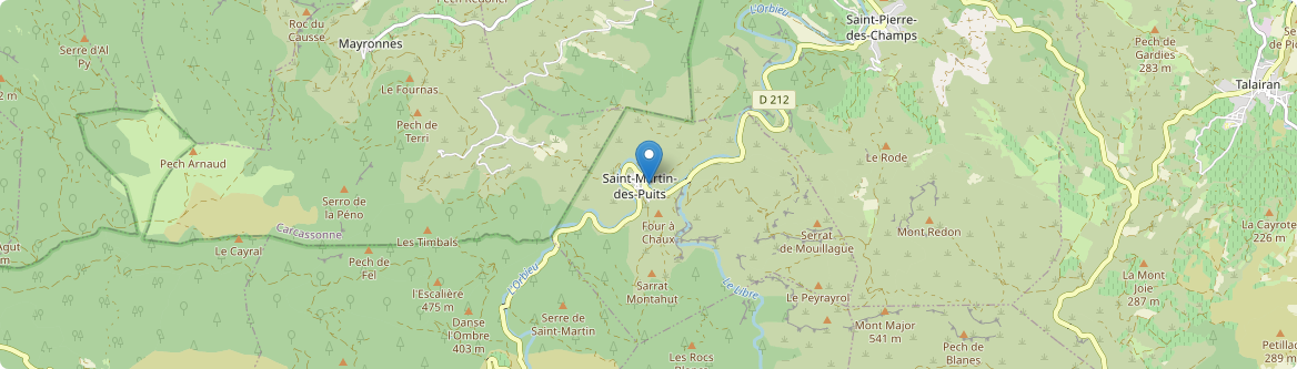 Saint-Martin-des-Puits - Carte