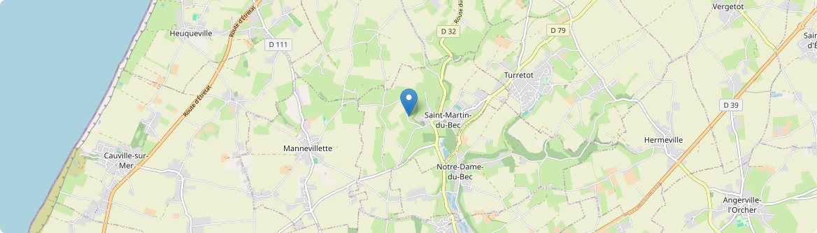 Saint-Martin-du-Bec - Carte