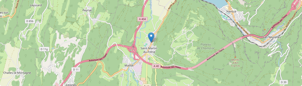 Saint-Martin-du-Frêne - Carte