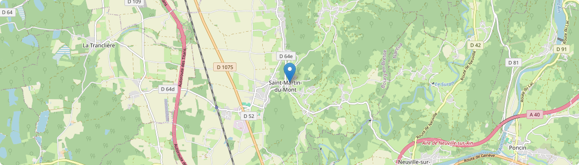 Saint-Martin-du-Mont - Carte