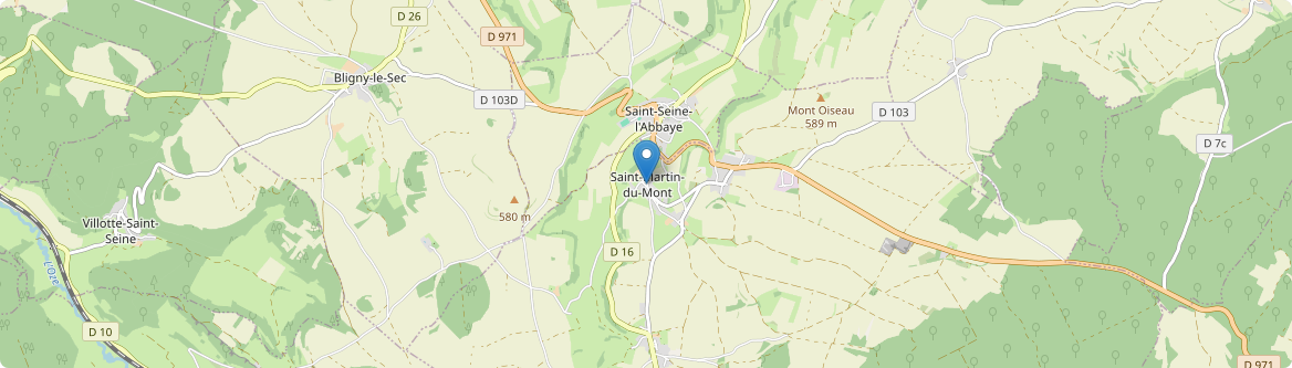 Saint-Martin-du-Mont - Carte