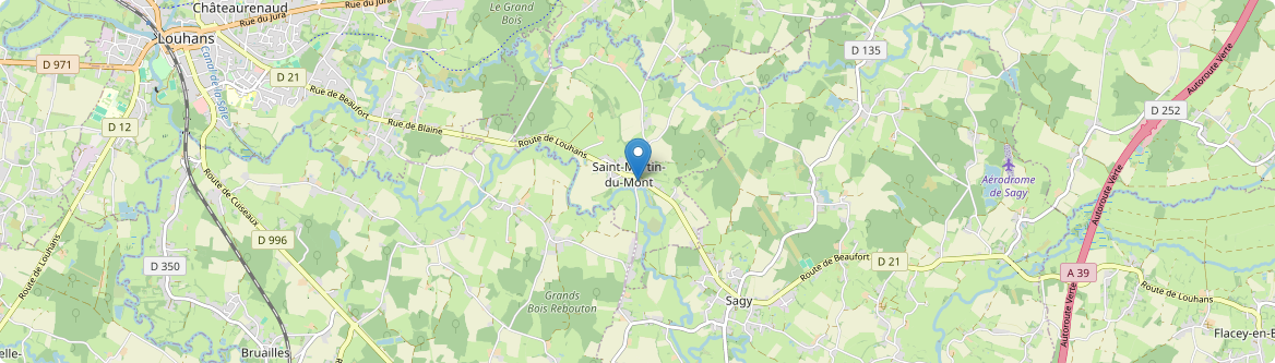 Saint-Martin-du-Mont - Carte