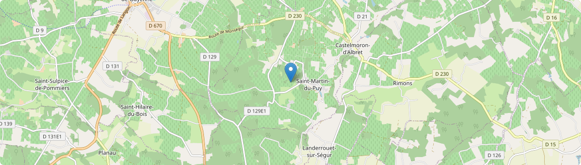 Saint-Martin-du-Puy - Carte