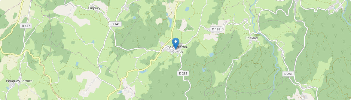 Saint-Martin-du-Puy - Carte