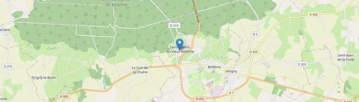 Saint-Martin-du-Vieux-Bellême - Carte