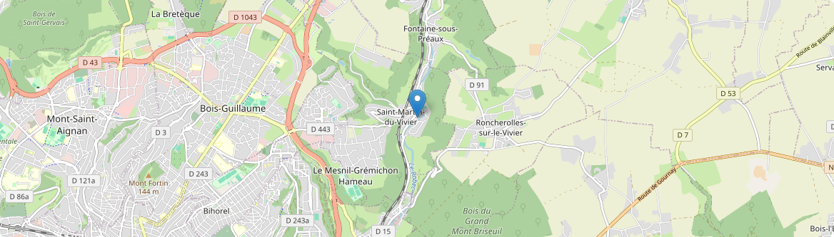 Saint-Martin-du-Vivier - Carte