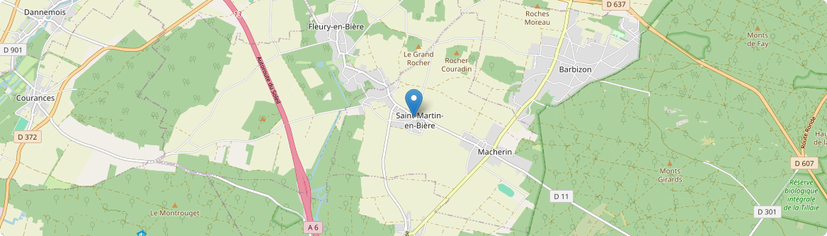 Saint-Martin-en-Bière - Carte
