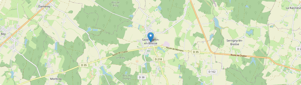 Saint-Martin-en-Bresse - Carte