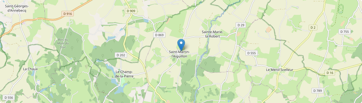 Saint-Martin-l'Aiguillon - Carte