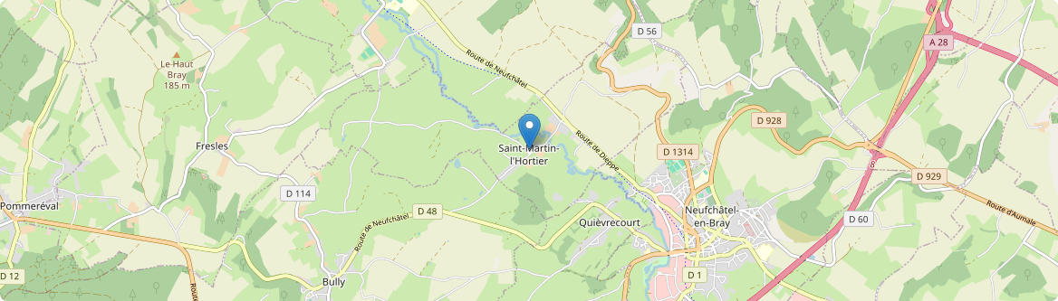 Saint-Martin-l'Hortier - Carte