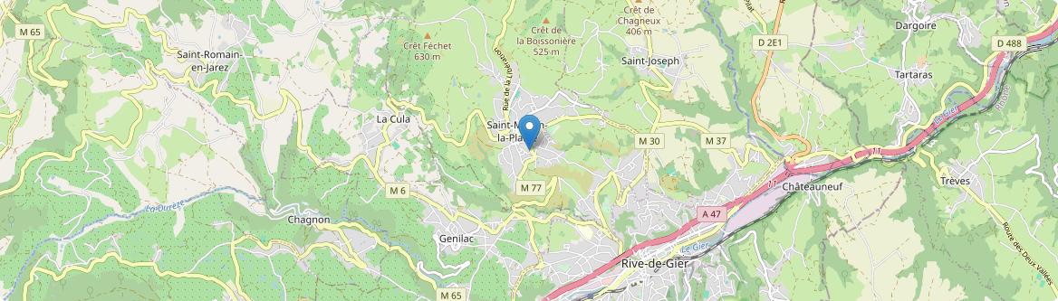 Saint-Martin-la-Plaine - Carte