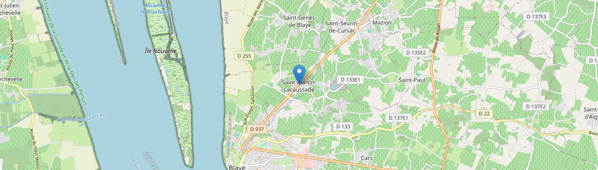 Saint-Martin-Lacaussade - Carte