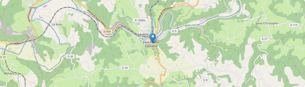 Saint-Martin-Laguépie - Carte