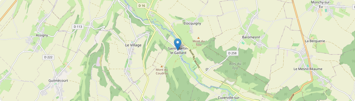 Saint-Martin-le-Gaillard - Carte