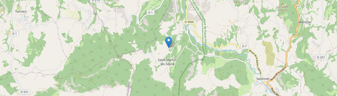Saint-Martin-lès-Seyne - Carte