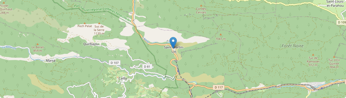 Saint-Martin-Lys - Carte