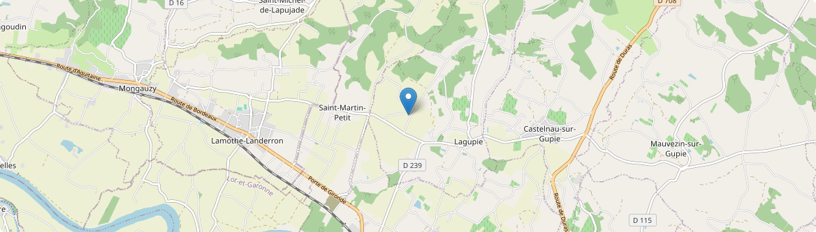 Saint-Martin-Petit - Carte