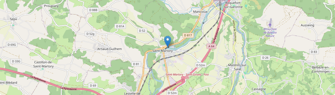 Saint-Martory - Carte