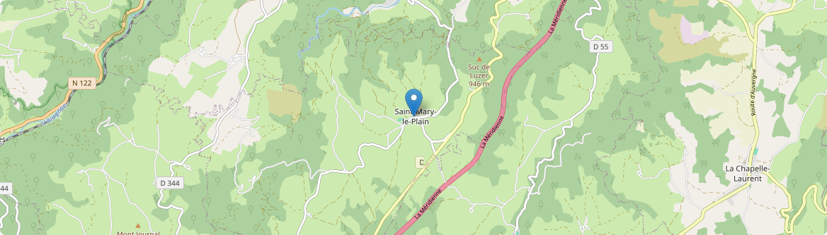 Saint-Mary-le-Plain - Carte