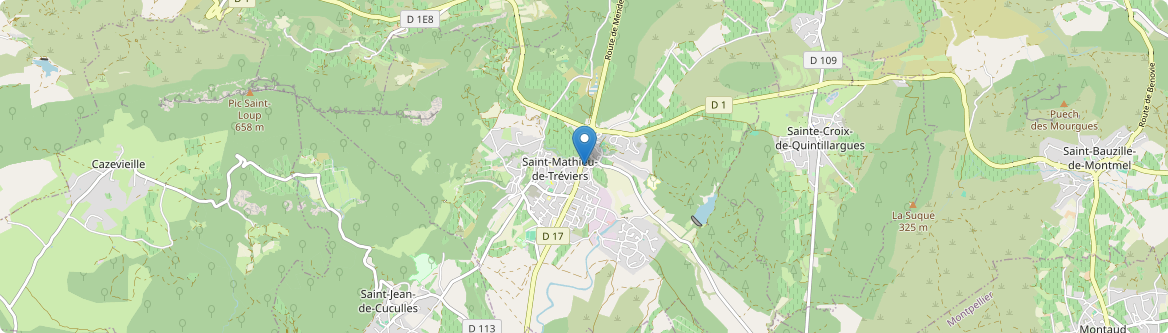 Saint-Mathieu-de-Tréviers - Carte