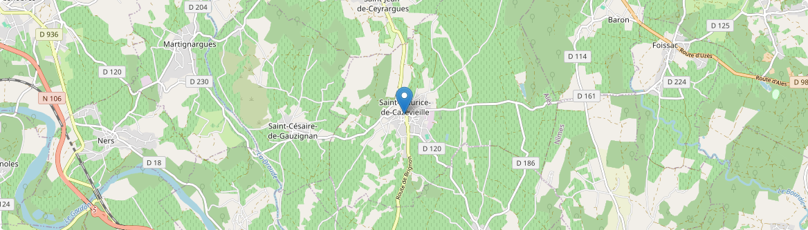Saint-Maurice-de-Cazevieille - Carte