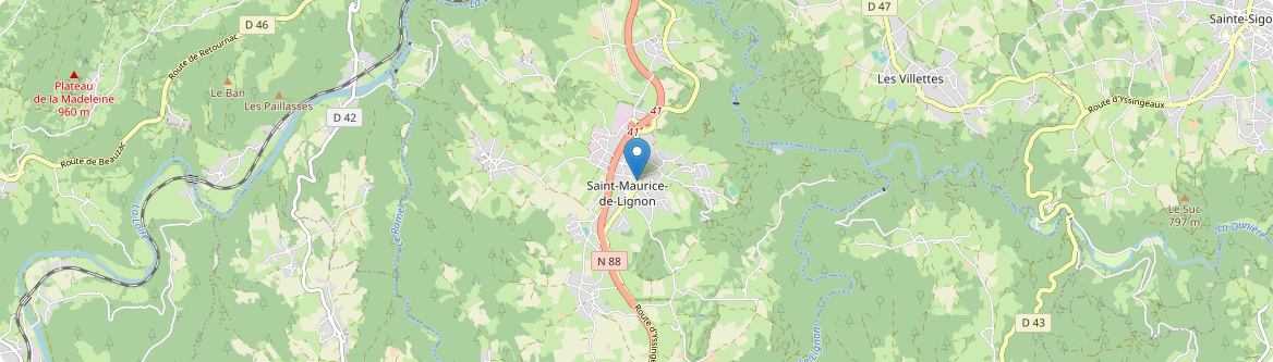 Saint-Maurice-de-Lignon - Carte