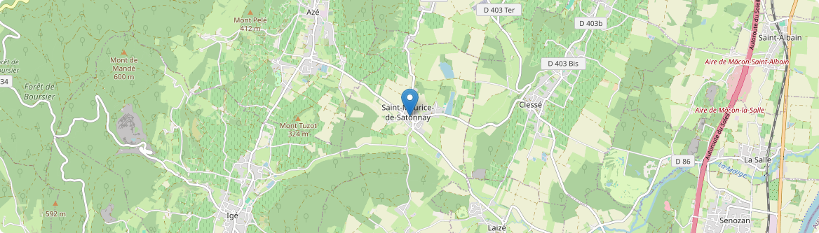 Saint-Maurice-de-Satonnay - Carte