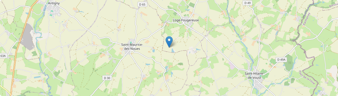 Saint-Maurice-des-Noues - Carte