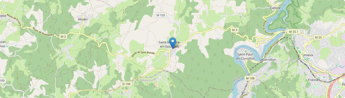 Saint-Maurice-en-Gourgois - Carte