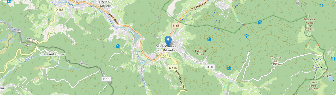 Saint-Maurice-sur-Moselle - Carte