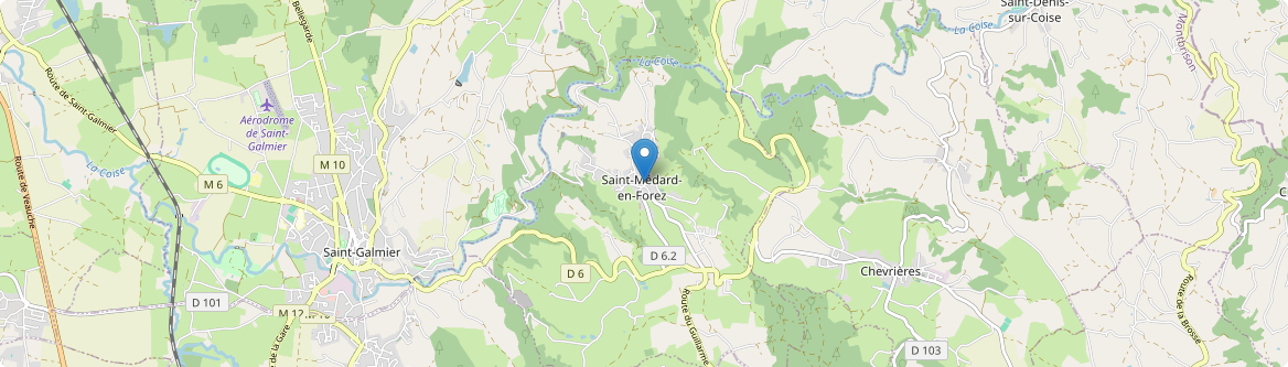 Saint-Médard-en-Forez - Carte