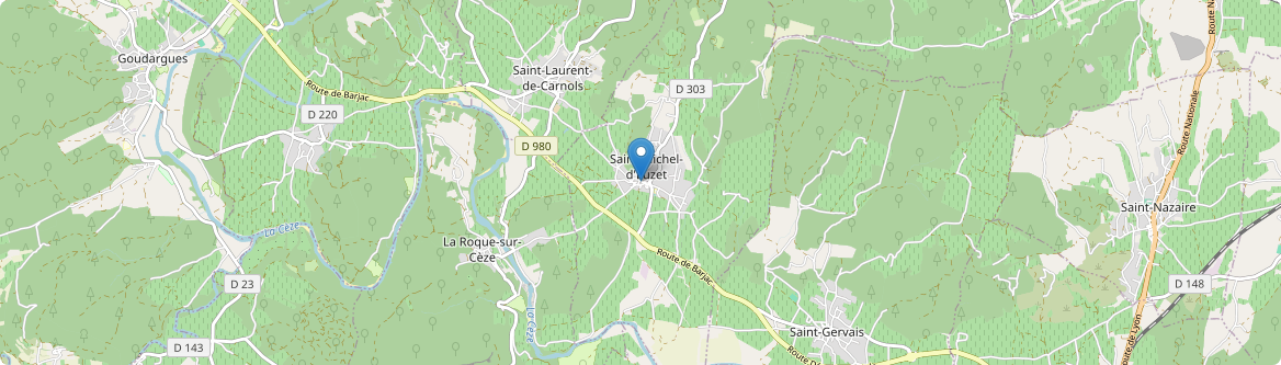 Saint-Michel-d'Euzet - Carte