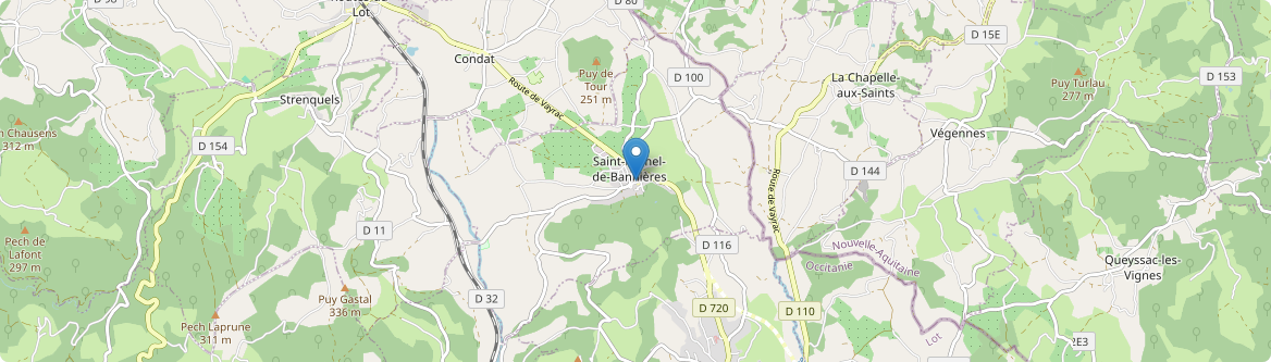 Saint-Michel-de-Bannières - Carte