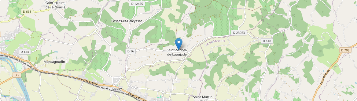 Saint-Michel-de-Lapujade - Carte