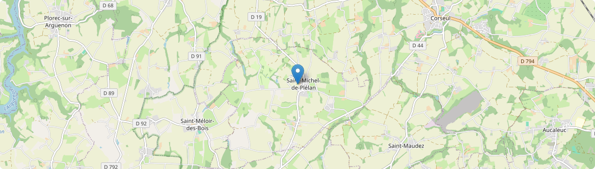 Saint-Michel-de-Plélan - Carte