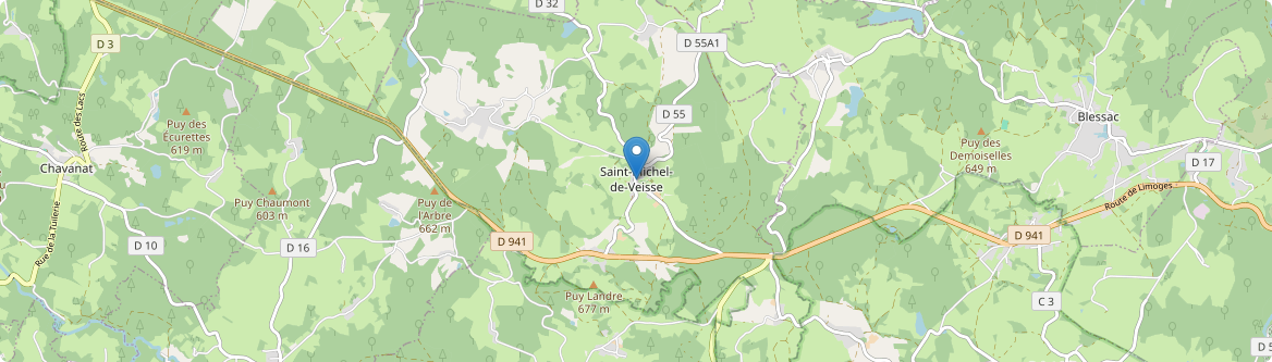 Saint-Michel-de-Veisse - Carte